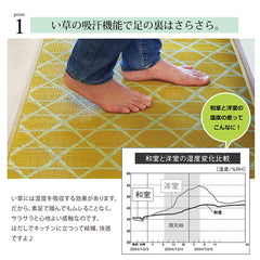 廚房地毯 榻榻米 日本國內產 日本製造
